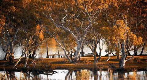 Riverview Rise Retreats - Tourism Canberra 4