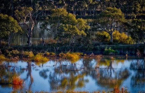 Riverview Rise Retreats - Tourism Canberra 7