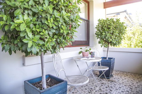 Mataro Cottage - Tourism Canberra 2