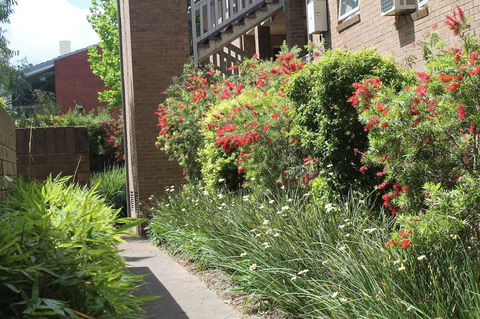 Adelaide DressCircle Apartments - Archer Street - Tourism Canberra 18