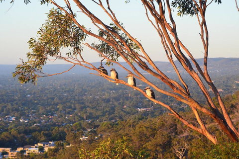 Kingsview Belair, Apartment Grand Views Of Adelaide - Tourism Canberra 1