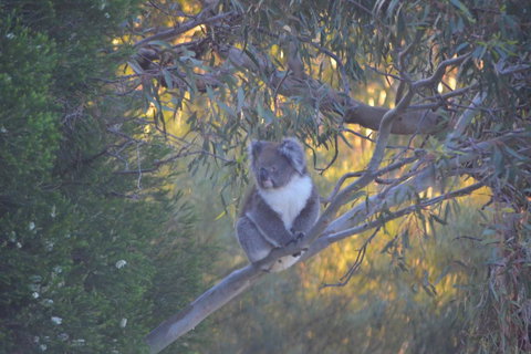 Kingsview Belair, Apartment Grand Views Of Adelaide - Tourism Canberra 15