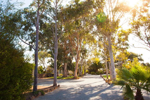 Modra\'s Apartments - Tourism Canberra 0