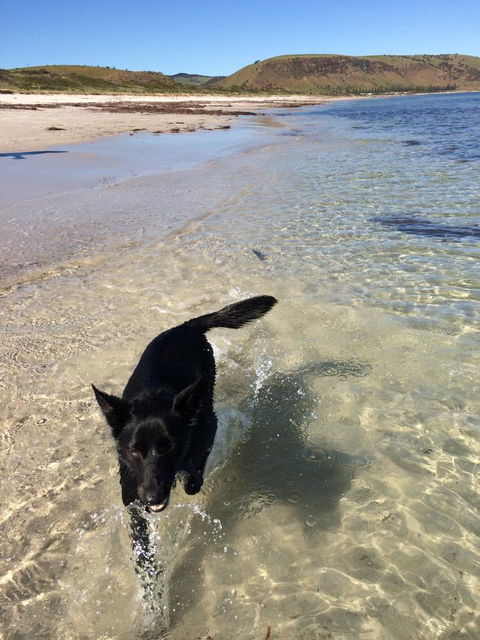 Beachside Holiday Park - Tourism Canberra 17