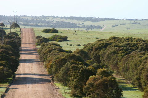 Almonta Park Lodge - Tourism Canberra 1