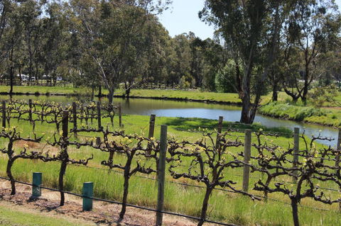 OXENBERRY FARM - Tourism Canberra 19
