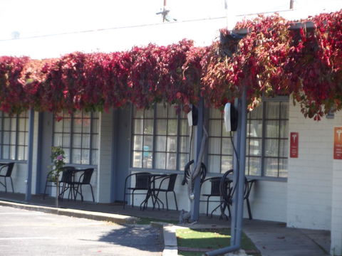 Guichen Bay Motel - Tourism Canberra 23