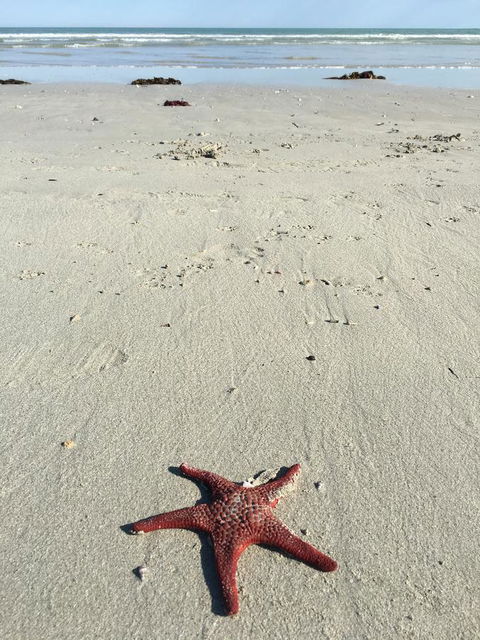 Caledonian Inn - Tourism Canberra 14