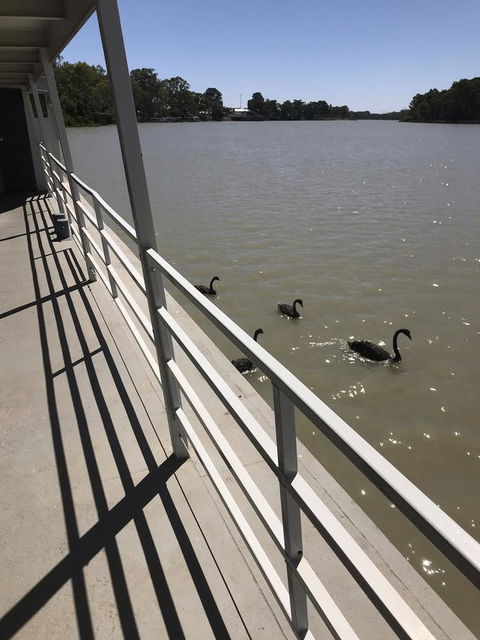 Murray River Queen - Tourism Canberra 7