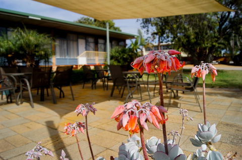 Kangaroo Island Seaview Motel - Tourism Canberra 3