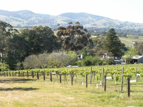 Archery Road Estate - Tourism Canberra 12