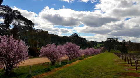 D2 At Watervale - Tourism Canberra 22
