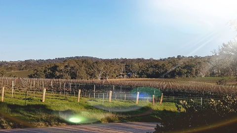 D2 At Watervale - Tourism Canberra 23