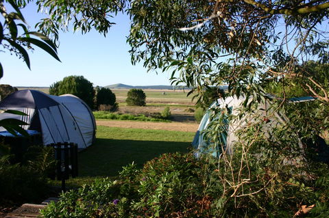 Millicent Hillview Caravan Park - Tourism Canberra 43