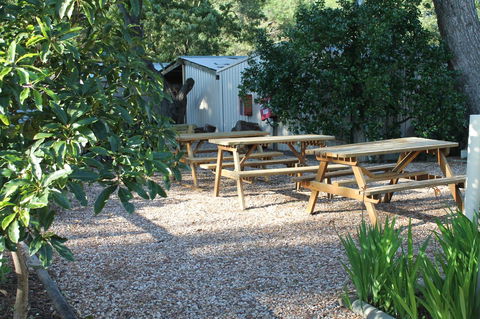 Millicent Hillview Caravan Park - Tourism Canberra 9