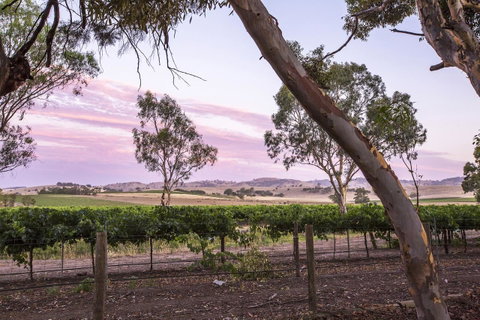 Jasmine\'s Barossa Valley Cottage - Tourism Canberra 19