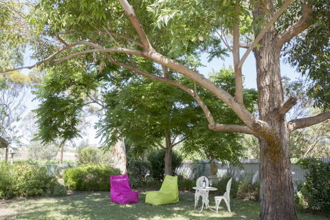 Jasmine\'s Barossa Valley Cottage - Tourism Canberra 18