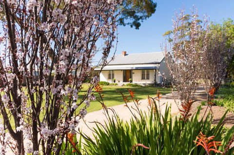 20 Hill Avenue Bed & Breakfast - Tourism Canberra 1