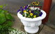 Addies Place Goolwa - thumb 10
