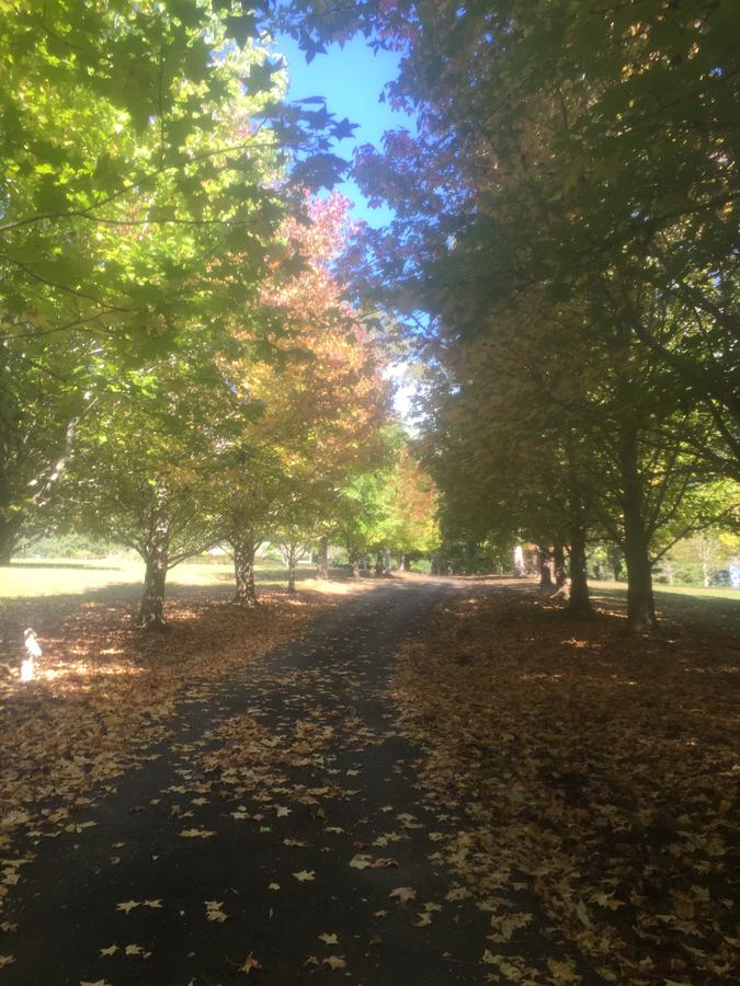 Bonville NSW Tourism Canberra