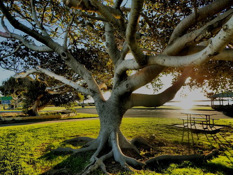 Lazy Lobster Holiday Units & Chalets - Tourism Canberra 34