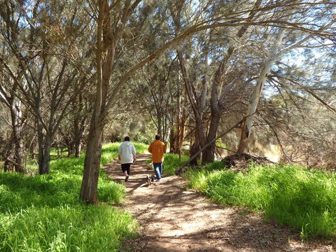 Lazy Lobster Holiday Units & Chalets - Tourism Canberra 26