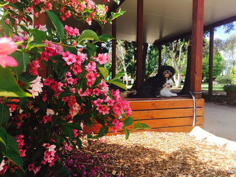Armidale Tourist Park - Tourism Canberra 34