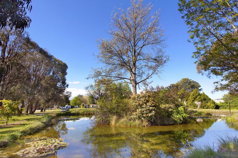 Armidale Tourist Park - Tourism Canberra 24