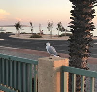 Shark Bay Seafront Apartments - Tourism Canberra