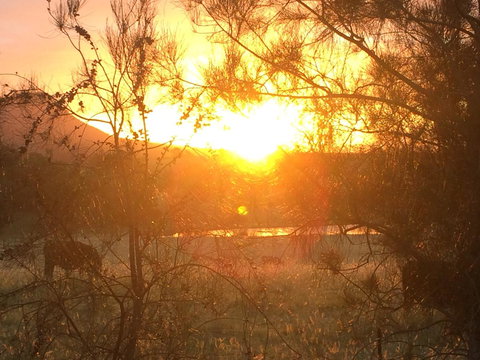 Grapevines Boutique Accommodation - Tourism Canberra 27