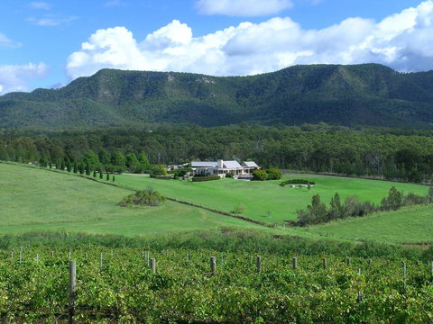 Grapevines Boutique Accommodation - Tourism Canberra 23