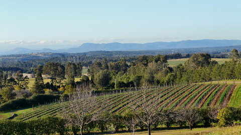 Grapevines Boutique Accommodation - Tourism Canberra 21