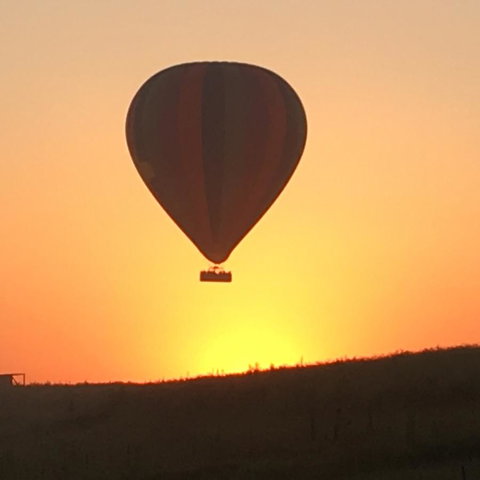 Grapevines Boutique Accommodation - Tourism Canberra 13