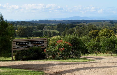 Grapevines Boutique Accommodation - Tourism Canberra 15