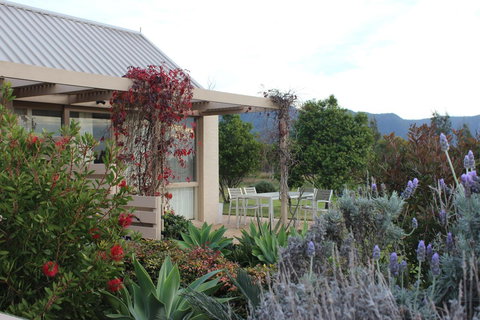 Grapevines Boutique Accommodation - Tourism Canberra 28