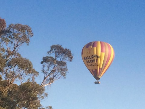 Grapevines Boutique Accommodation - Tourism Canberra 12