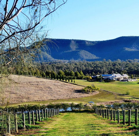 Grapevines Boutique Accommodation - Tourism Canberra 5