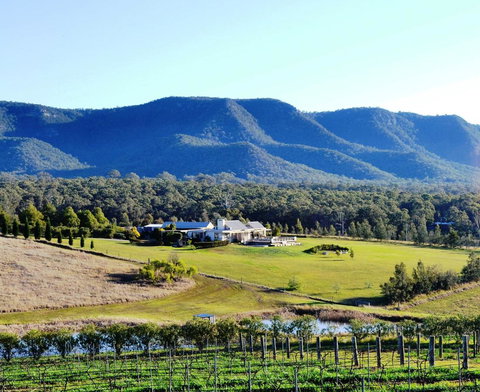 Grapevines Boutique Accommodation - Tourism Canberra 0