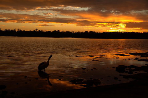 Dungowan Holiday Accommodation - Tourism Canberra 31