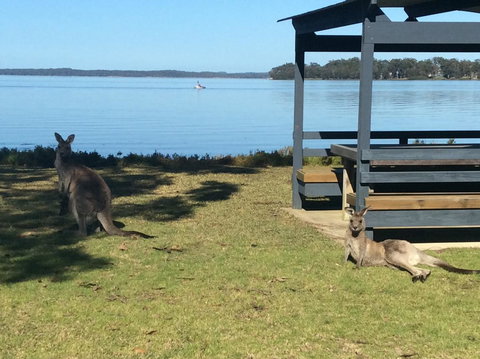 Dungowan Holiday Accommodation - Tourism Canberra 33