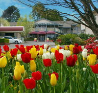 Nesuto Leura Gardens formerly Waldorf Leura Gardens Resort - Tourism Canberra