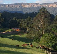 Amaroo Valley Springs - Tourism Canberra