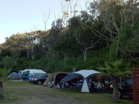 Blue Lagoon Beach Resort - Tourism Canberra 19