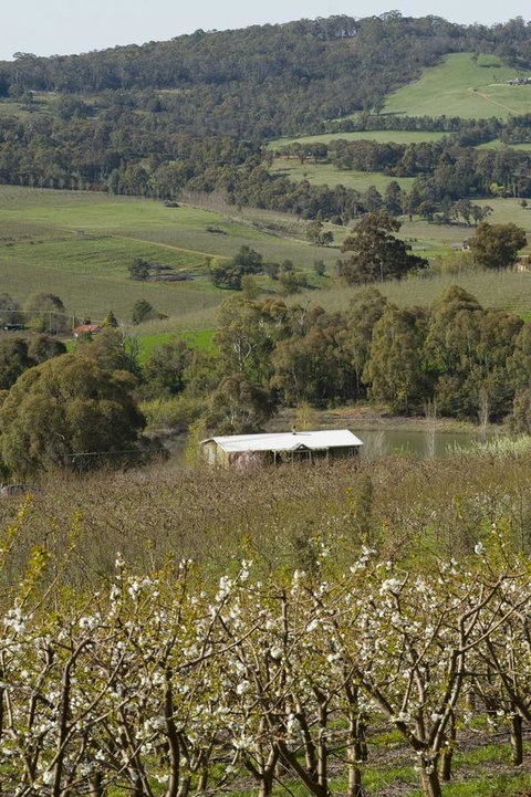 Borrodell Vineyard - Tourism Canberra 30