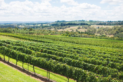 Borrodell Vineyard - Tourism Canberra 29