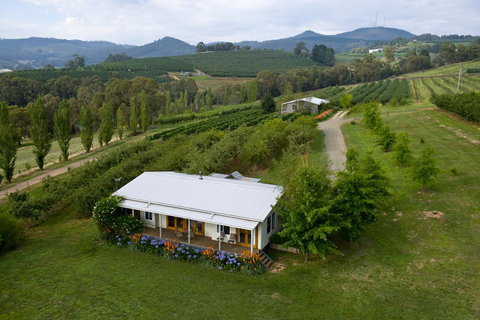 Borrodell Vineyard - Tourism Canberra 2