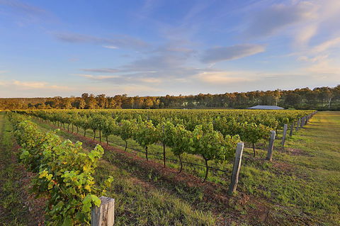 Ironstone Estate Lovedale - Tourism Canberra 31