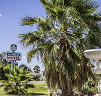 Allonville Gardens Motel - Tourism Canberra