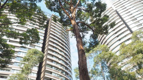 SkyGarden Sydney Olympic Park 3 & 4 Bedroom City View - Tourism Canberra 33