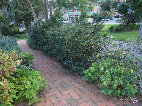 Bellevue Accommodation - Tourism Canberra 22